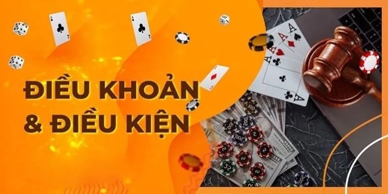 Cập nhật toàn bộ các điều kiện điều khoản, điều kiện người chơi cần tuân thủ tại NOHU56